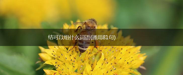 结可以组什么词语(通用81句),第1张