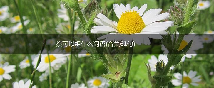 祭可以组什么词语(合集61句),第1张