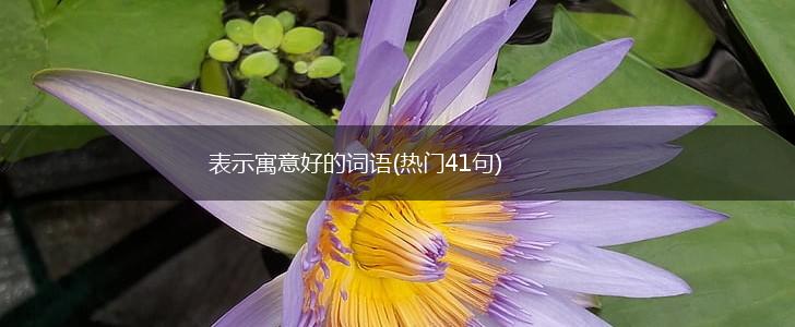 表示寓意好的词语(热门41句),第1张