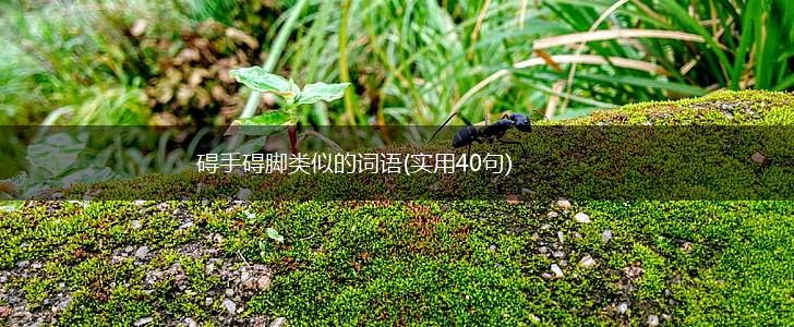 碍手碍脚类似的词语(实用40句),第1张