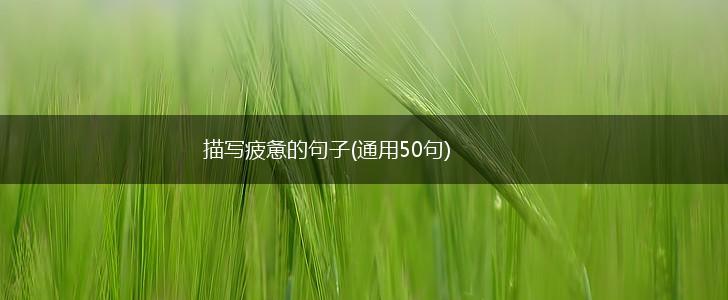 描写疲惫的句子(通用50句),第1张