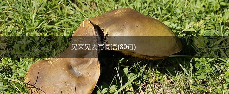 晃来晃去写词语(80句),第1张