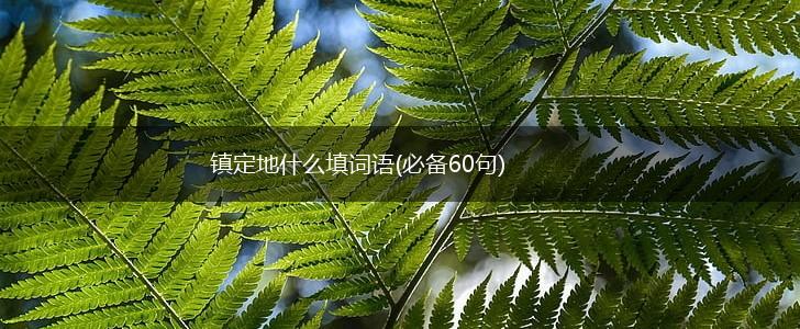 镇定地什么填词语(必备60句),第1张