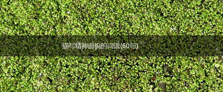 描写精神面貌的词语(60句),第1张