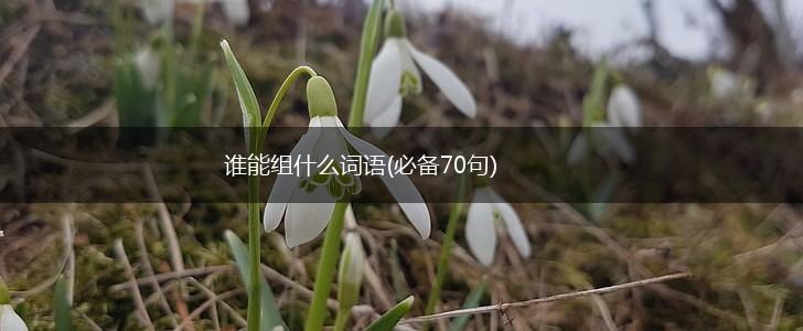 谁能组什么词语(必备70句),第1张