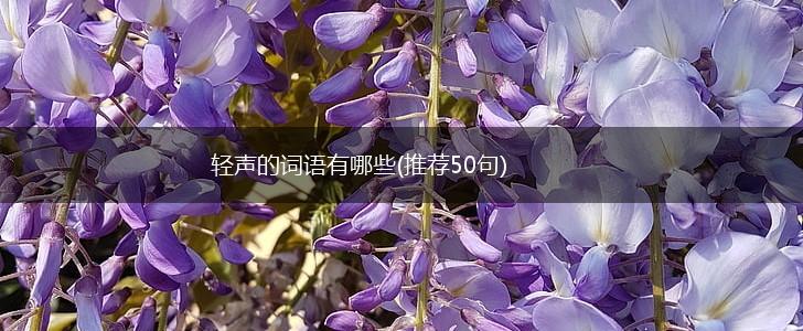 轻声的词语有哪些(推荐50句),第1张
