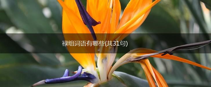 禄组词语有哪些(共31句),第1张