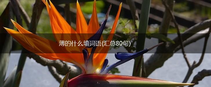 薄的什么填词语(汇总80句),第1张