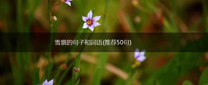 雪景的句子和词语(推荐50句),第1张