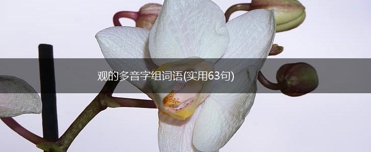 观的多音字组词语(实用63句),第1张