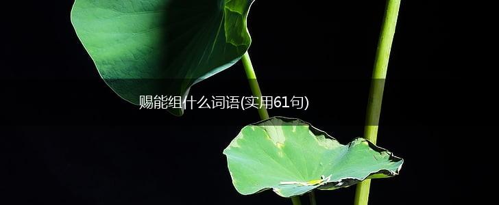 赐能组什么词语(实用61句),第1张