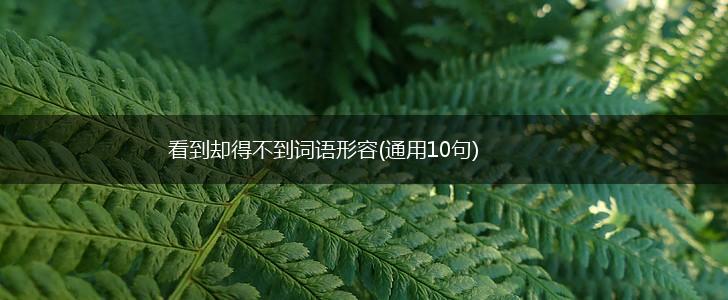看到却得不到词语形容(通用10句),第1张