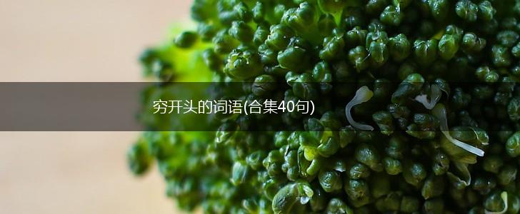 穷开头的词语(合集40句),第1张