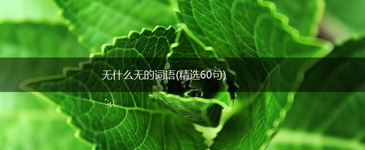 无什么无的词语(精选60句),第1张