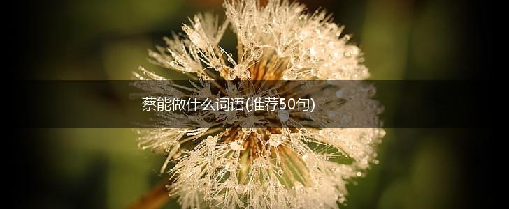 蔡能做什么词语(推荐50句),第1张