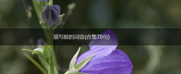 描写脸的词语(合集70句),第1张