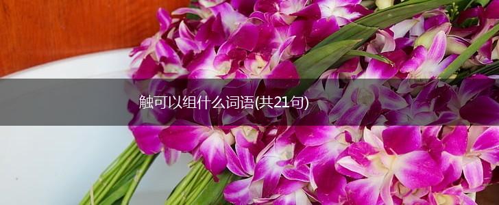 触可以组什么词语(共21句),第1张