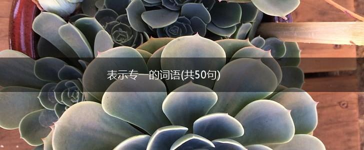 表示专一的词语(共50句),第1张