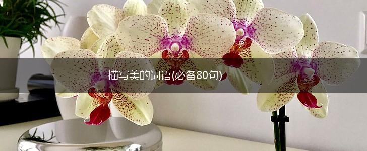 描写美的词语(必备80句),第1张