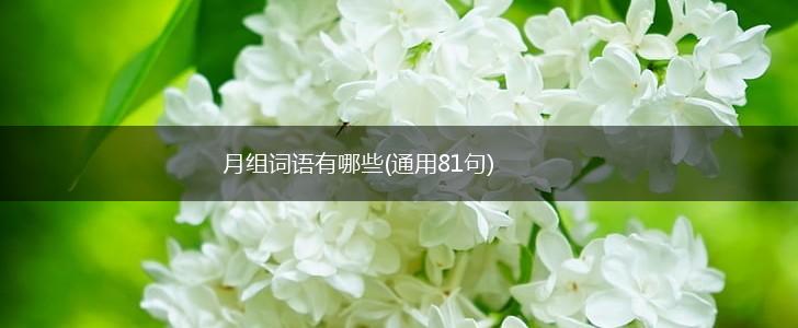 月组词语有哪些(通用81句),第1张