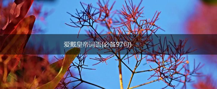 爱戴皇帝词语(必备97句),第1张