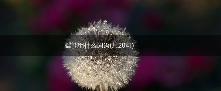 端能组什么词语(共20句),第1张