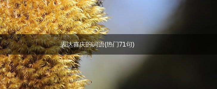 表达喜庆的词语(热门71句),第1张