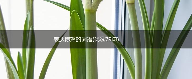 表达愤怒的词语(优选79句),第1张