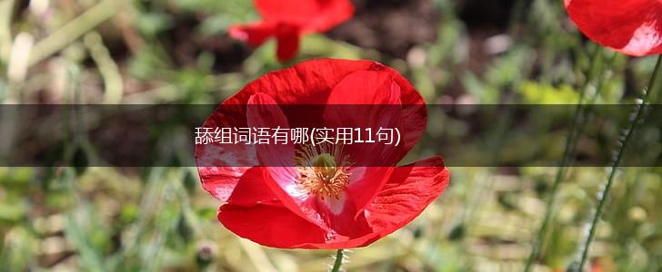舔组词语有哪(实用11句),第1张