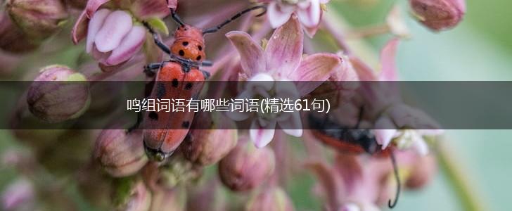 鸣组词语有哪些词语(精选61句),第1张