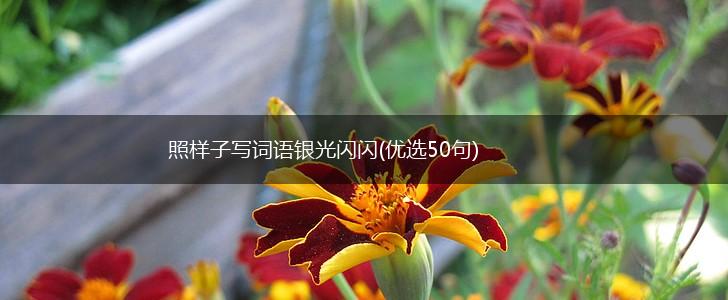 照样子写词语银光闪闪(优选50句),第1张