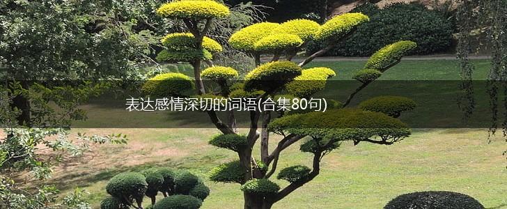 表达感情深切的词语(合集80句),第1张