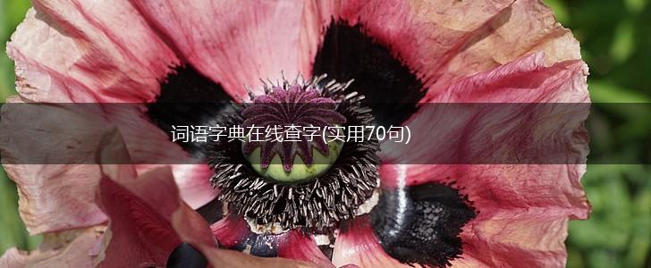 词语字典在线查字(实用70句),第1张