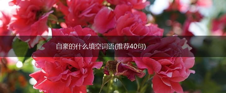 自豪的什么填空词语(推荐40句),第1张