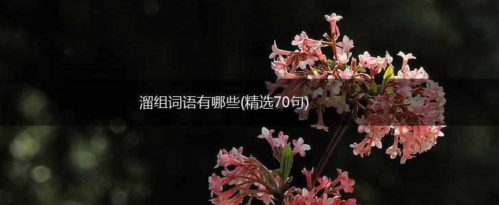 溜组词语有哪些(精选70句),第1张