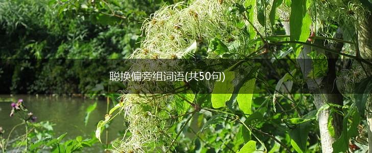 聪换偏旁组词语(共50句),第1张
