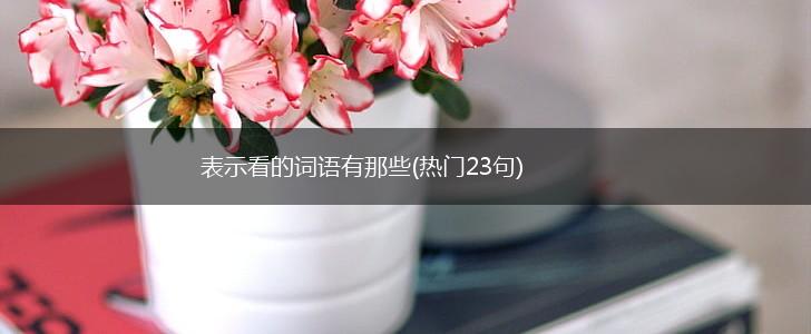 表示看的词语有那些(热门23句),第1张
