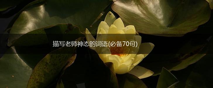 描写老师神态的词语(必备70句),第1张