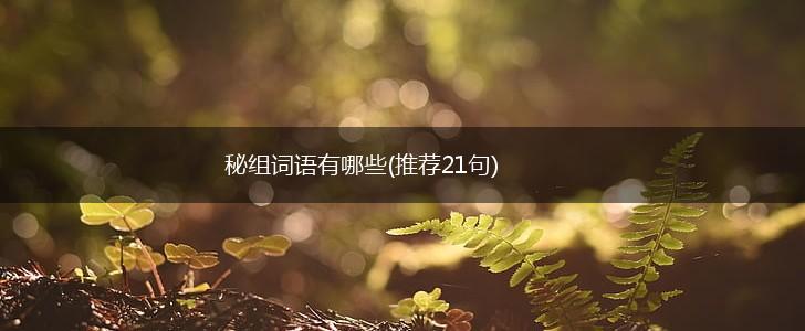 秘组词语有哪些(推荐21句),第1张