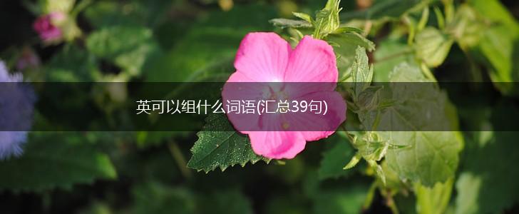 英可以组什么词语(汇总39句),第1张
