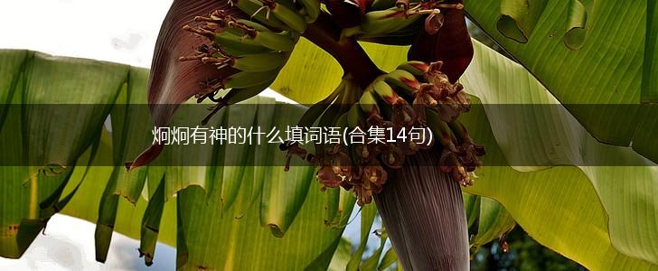 炯炯有神的什么填词语(合集14句),第1张