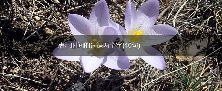 表示时间的词语两个字(40句),第1张