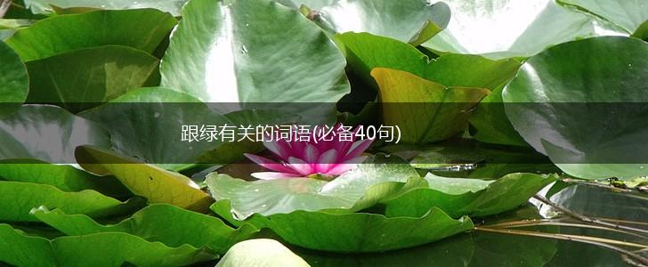 跟绿有关的词语(必备40句),第1张
