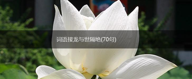 词语接龙与世隔绝(70句),第1张