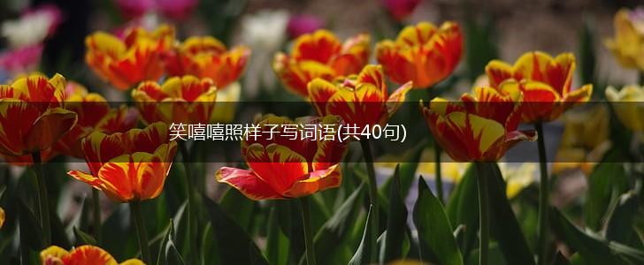 笑嘻嘻照样子写词语(共40句),第1张