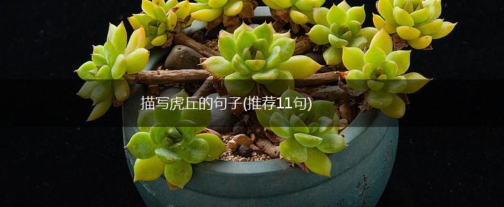 描写虎丘的句子(推荐11句),第1张