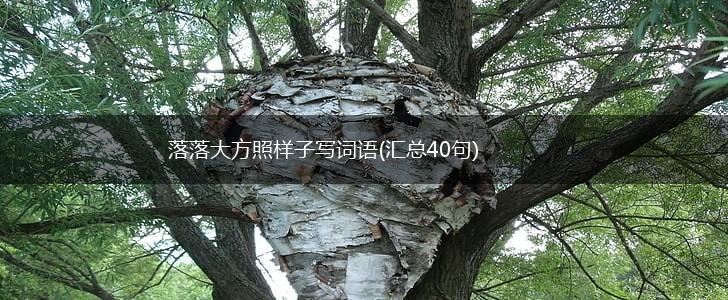 落落大方照样子写词语(汇总40句),第1张