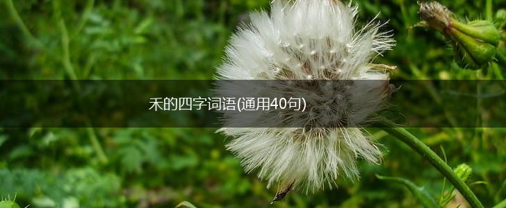 禾的四字词语(通用40句),第1张