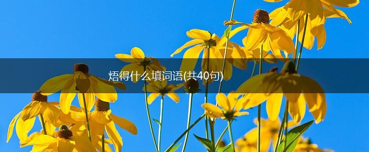焐得什么填词语(共40句),第1张