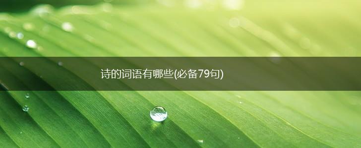 诗的词语有哪些(必备79句),第1张